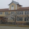 olcea