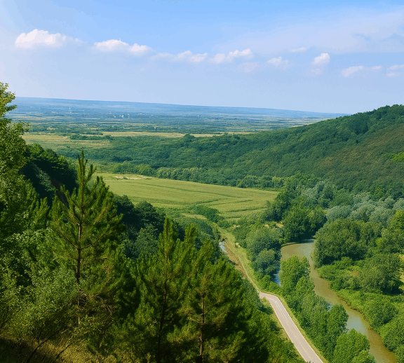 Comuna Soimi este situata in partea de sud a judetului Bihor, la limita dintre muntii Codru Moma si Campia Crisurilor.