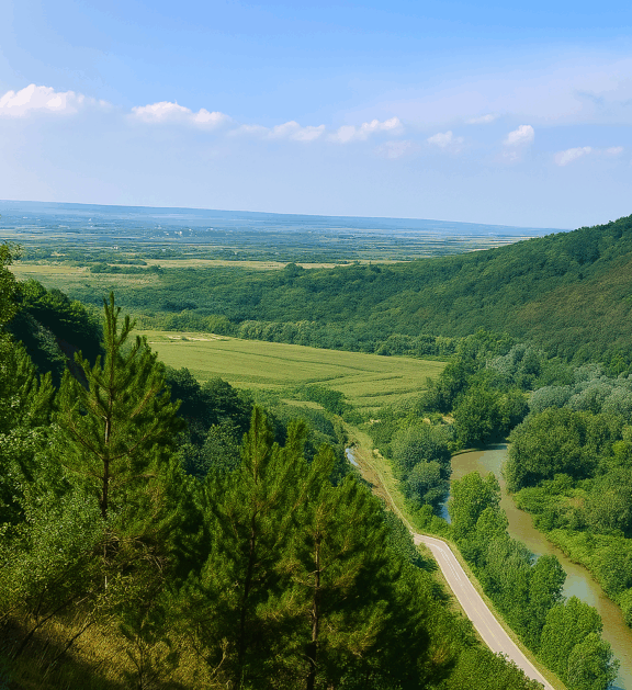 Comuna Soimi este situata in partea de sud a judetului Bihor, la limita dintre muntii Codru Moma si Campia Crisurilor.