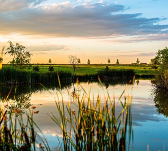 Olcea este o comună situată în partea de sud a județului Bihor, într-o zonă de câmpie pitorească, la granița cu județul Arad.