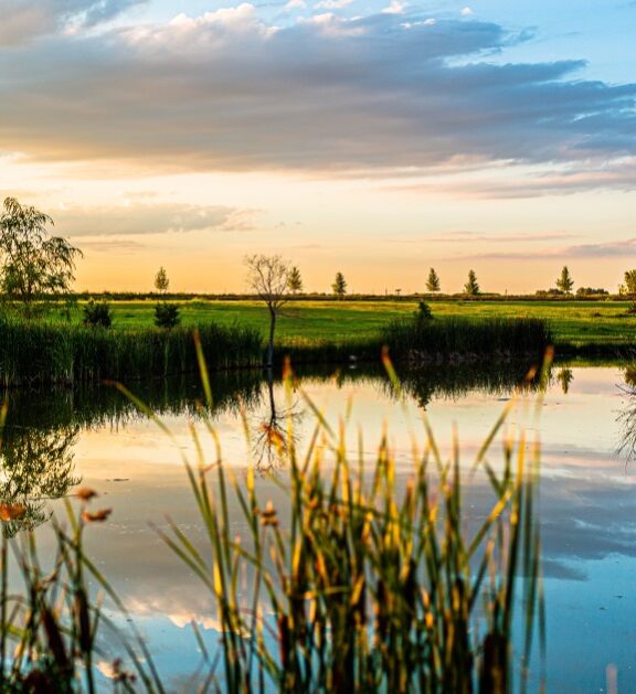 Olcea este o comună situată în partea de sud a județului Bihor, într-o zonă de câmpie pitorească, la granița cu județul Arad.