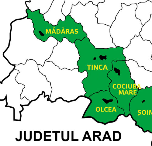 Teritoriul G.A.L. Euro-Crișana