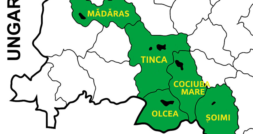 Teritoriul G.A.L. Euro-Crișana