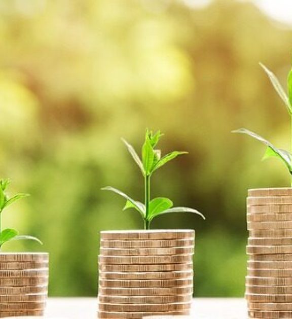 Contribuim la diversificarea economiei prin investiții în activități neagricole.