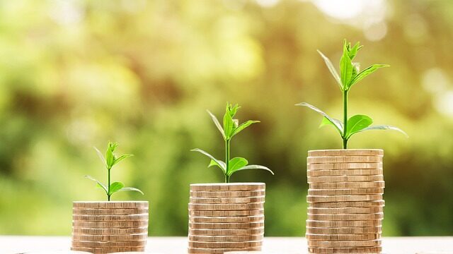 Contribuim la diversificarea economiei prin investiții în activități neagricole.