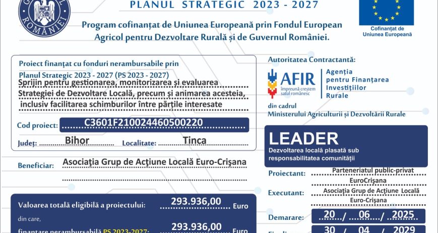 DE LA STRATEGIE LA IMPLEMENTARE. RESPONSABILITATEA DE A TRANSFORMA O VIZIUNE LOCALĂ ÎN REZULTATE PENTRU COMUNITATE