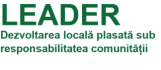 leader